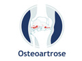 Logo do site Osteoartrose